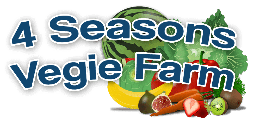 4 Seasons Vegie Farm