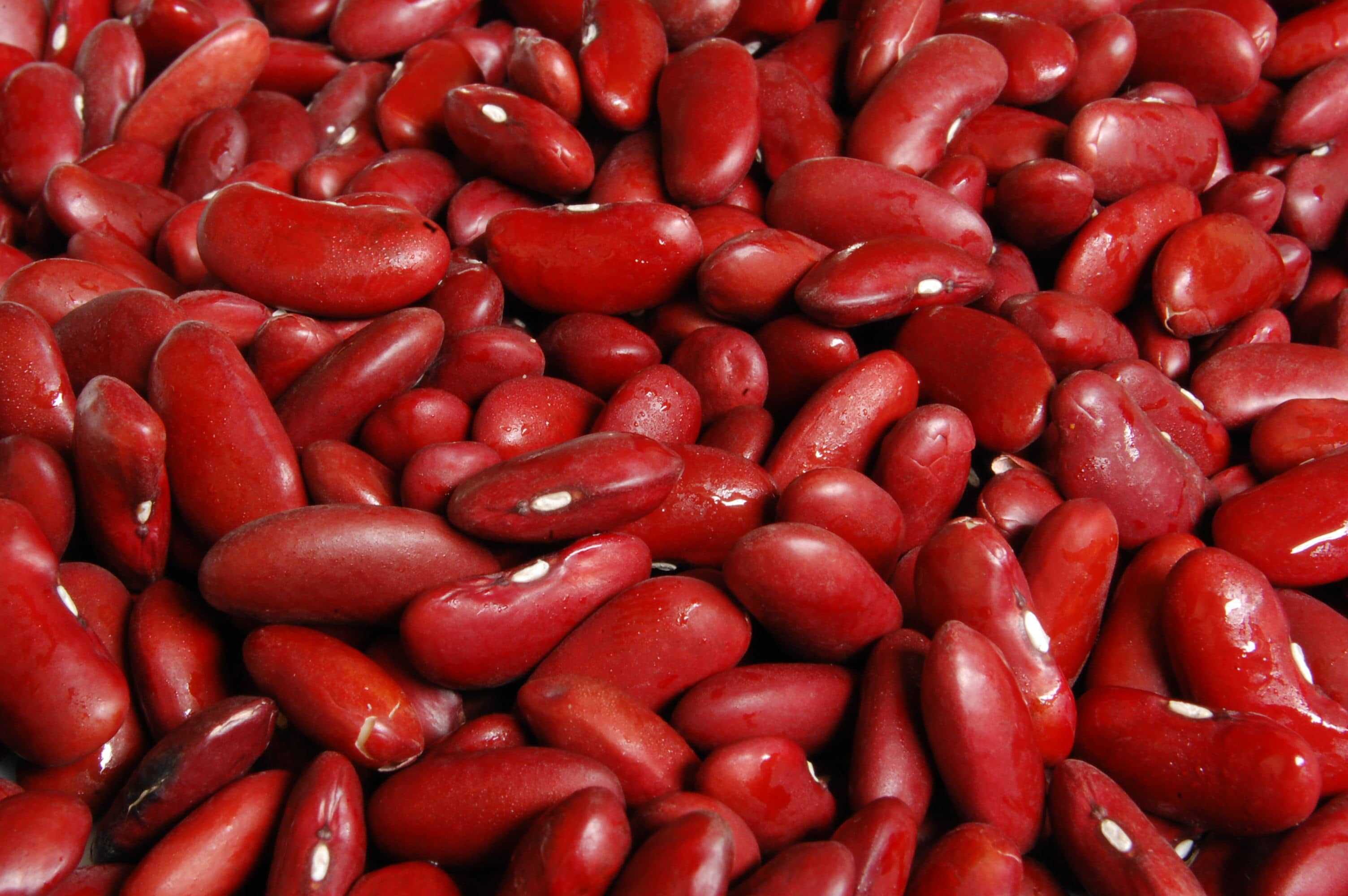 Red Beans 4 Seasons Vegie Farm